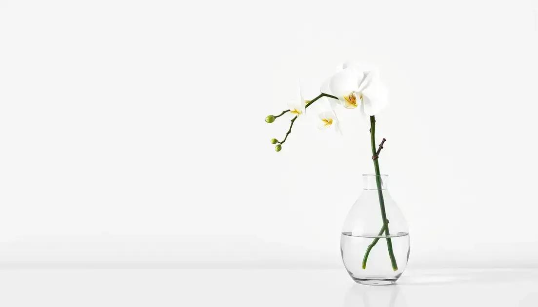 Importância da sustentabilidade para empresas